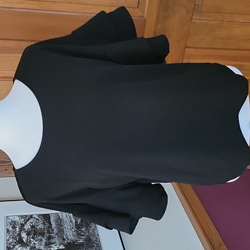 GREEN ENVELOPE Black Ruffle Sleeve Top
